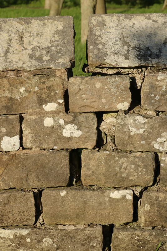 Stone Wall Repair in Denton County, TX